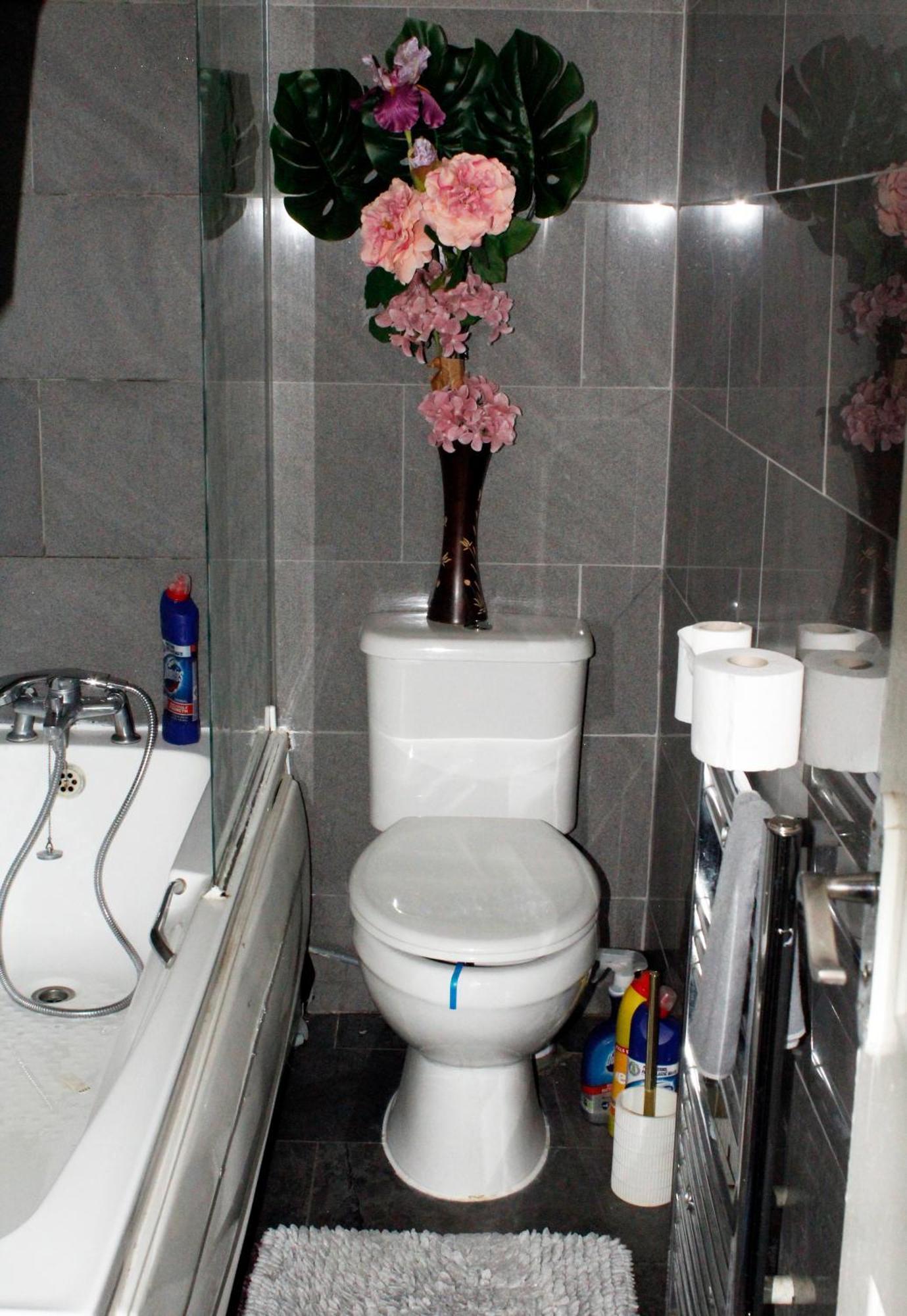 Cozy Rooms Or Entire Apartment In London, Fast Links To Central Esterno foto
